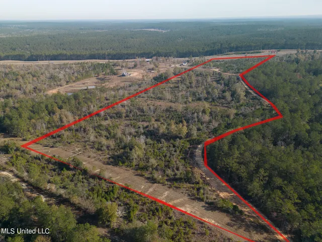 $138,000 | 38.53 Acre Highway, Leakesville, MS 39451