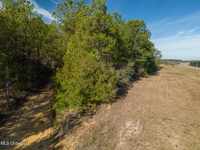 $138,000 | 38.53 Acre Highway, Leakesville, MS 39451