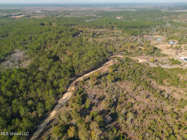 $138,000 | 38.53 Acre Highway, Leakesville, MS 39451