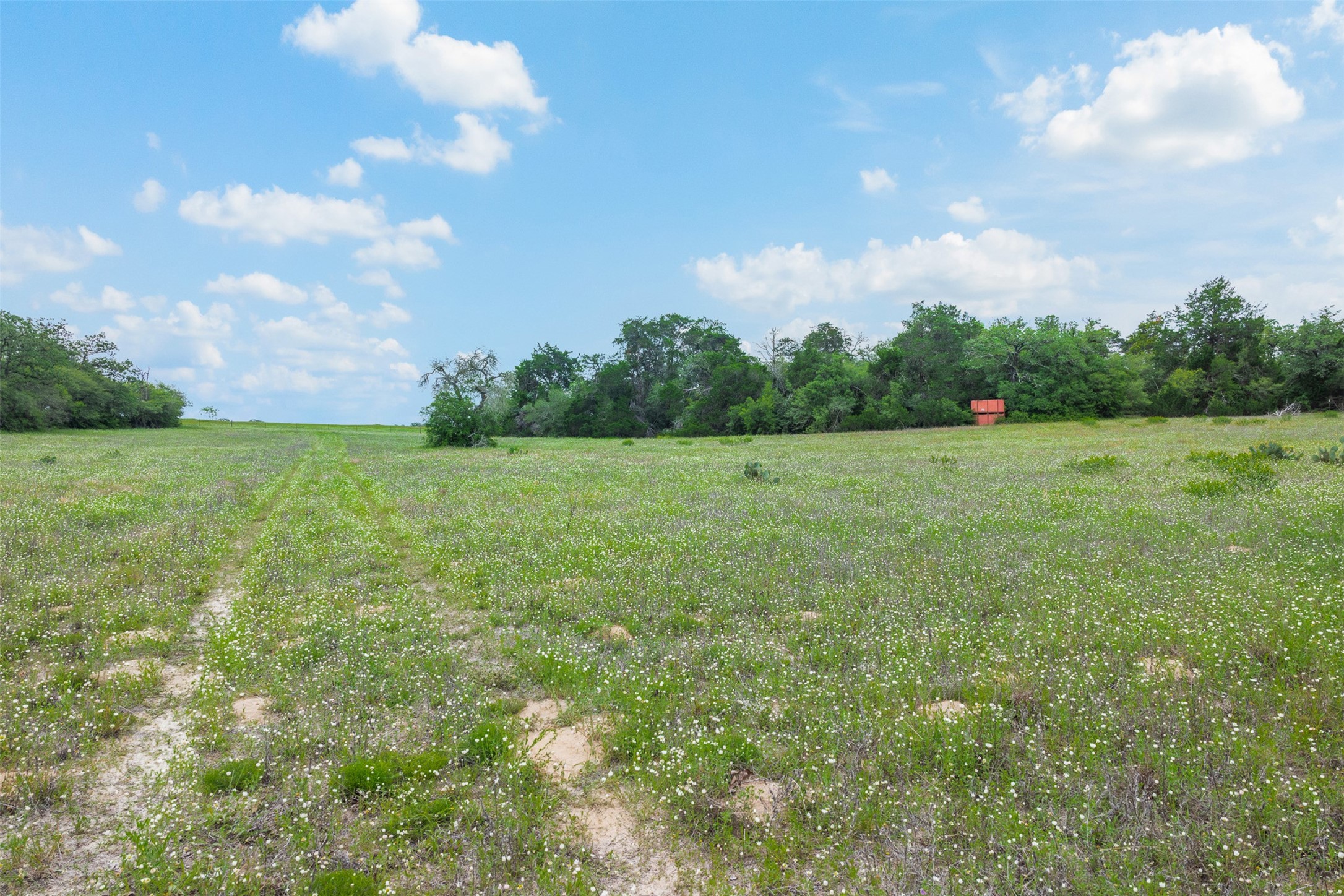 622 Red Rock Ranch Road Red Rock, TX 78662 - Photo 23 of 46 a view of a field with an trees in the background