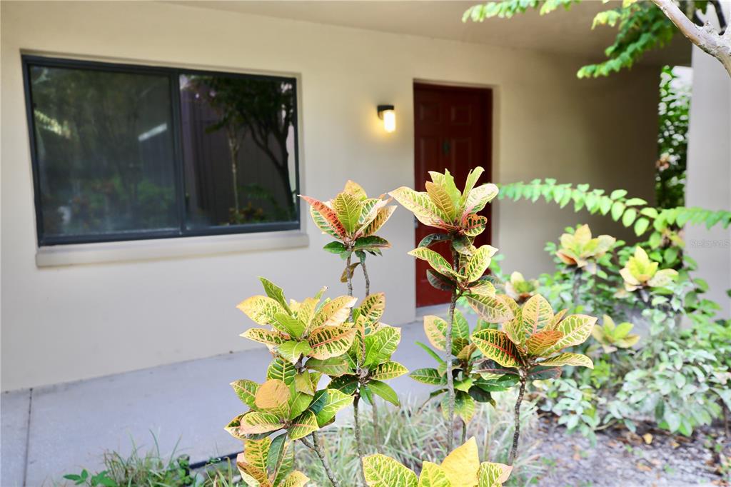 11702 Raintree Village Boulevard, Unit B Temple Terrace, FL 33617 - Photo 2 of 38 a vase of flowers with a white house