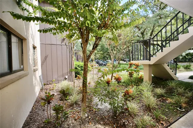 a view of a back yard