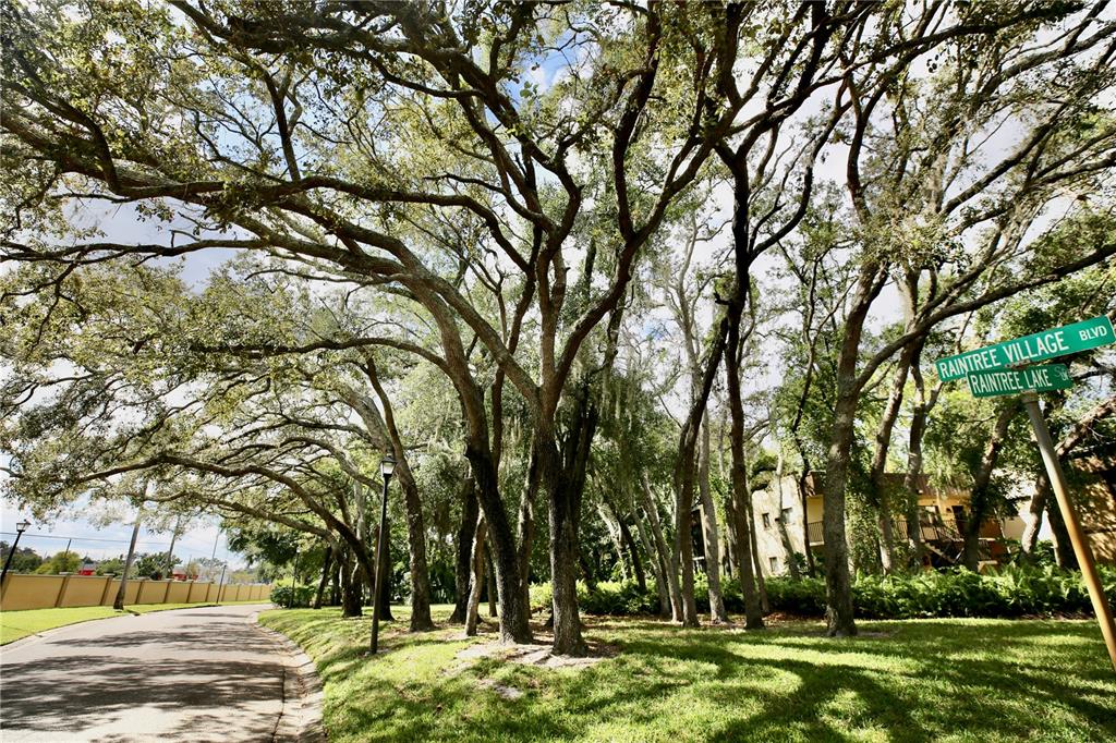 11702 Raintree Village Boulevard, Unit B Temple Terrace, FL 33617 - Photo 26 of 38 front view of a house with a trees