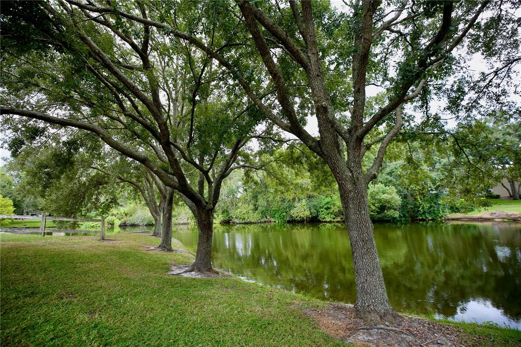 11702 Raintree Village Boulevard, Unit B Temple Terrace, FL 33617 - Photo 35 of 38 a huge green field with lots of trees