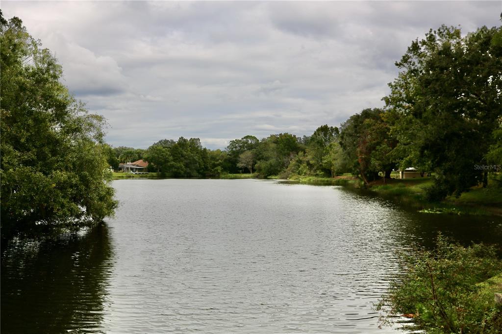 11702 Raintree Village Boulevard, Unit B Temple Terrace, FL 33617 - Photo 36 of 38 a view of lake and mountain