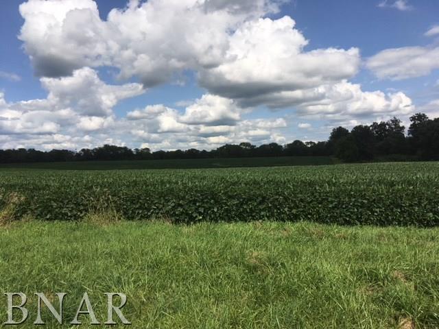 0 North King Road Danvers, IL 61755 - Photo 1 of 2