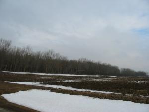 Wooded Hunting Land