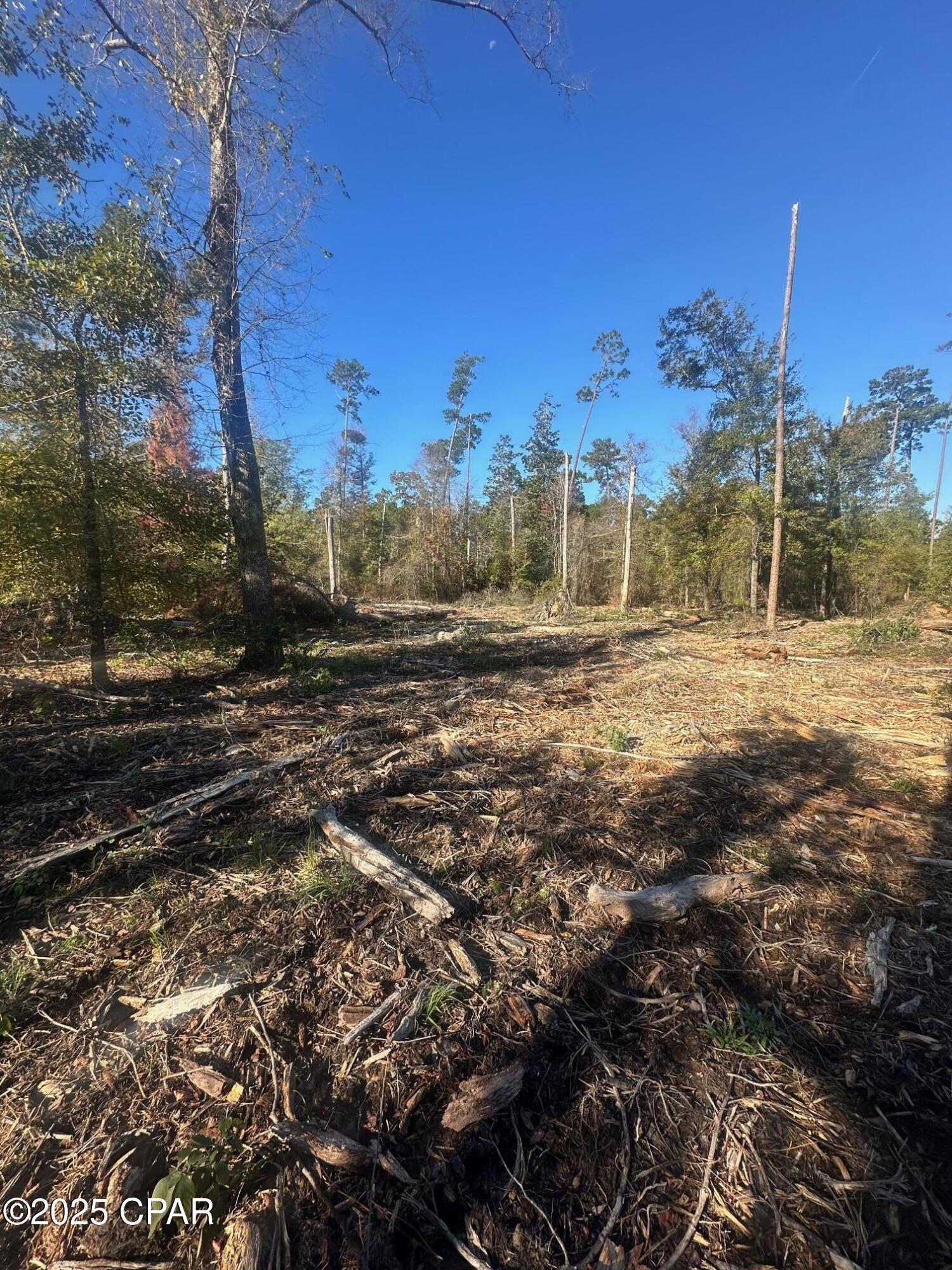 0 Parramore Road Sneads, FL 32460 - Photo 11 of 25