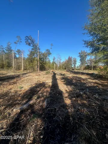 $47,000 | 0 Parramore Road, Sneads, FL 32460