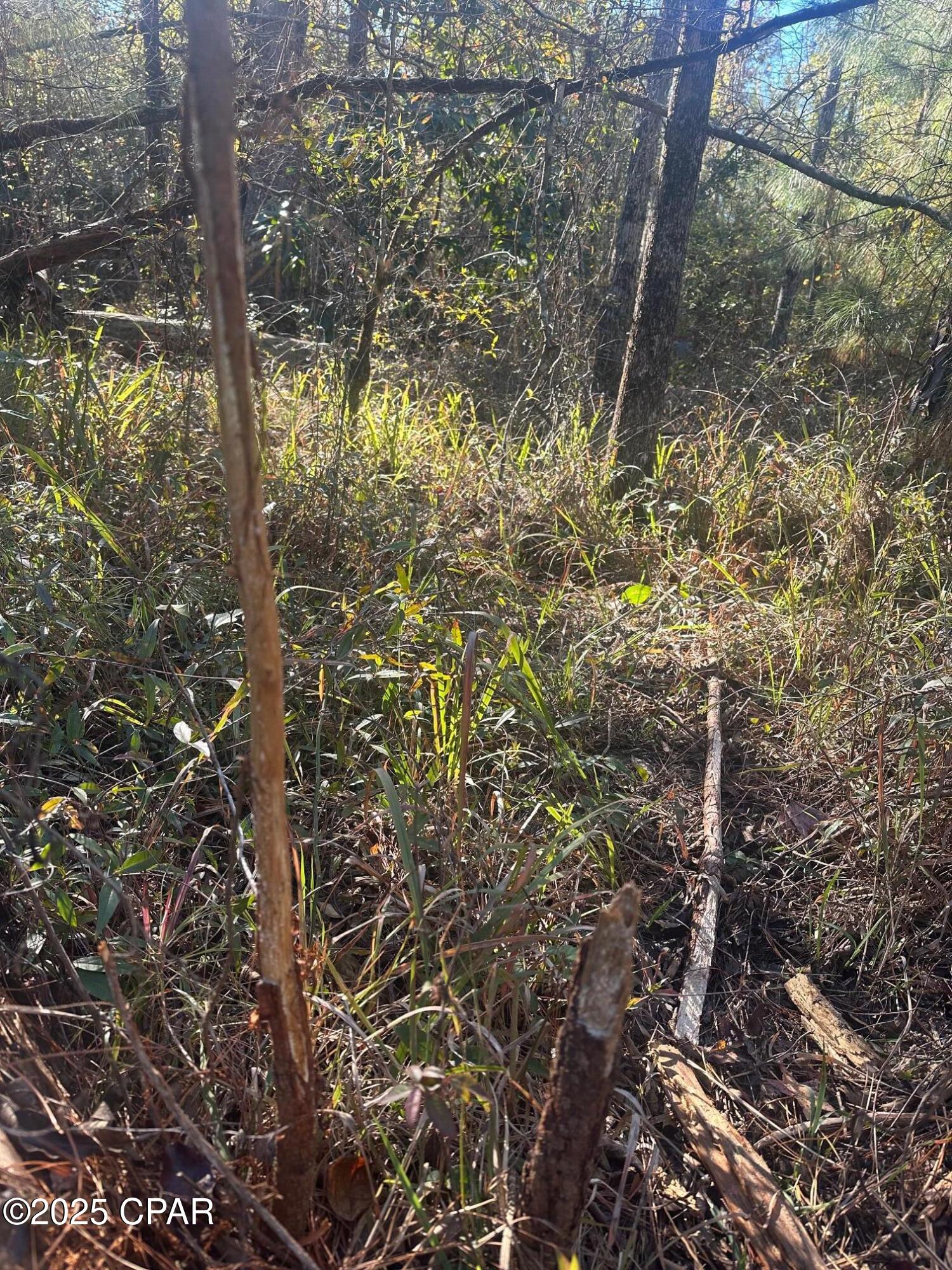 0 Parramore Road Sneads, FL 32460 - Photo 13 of 25