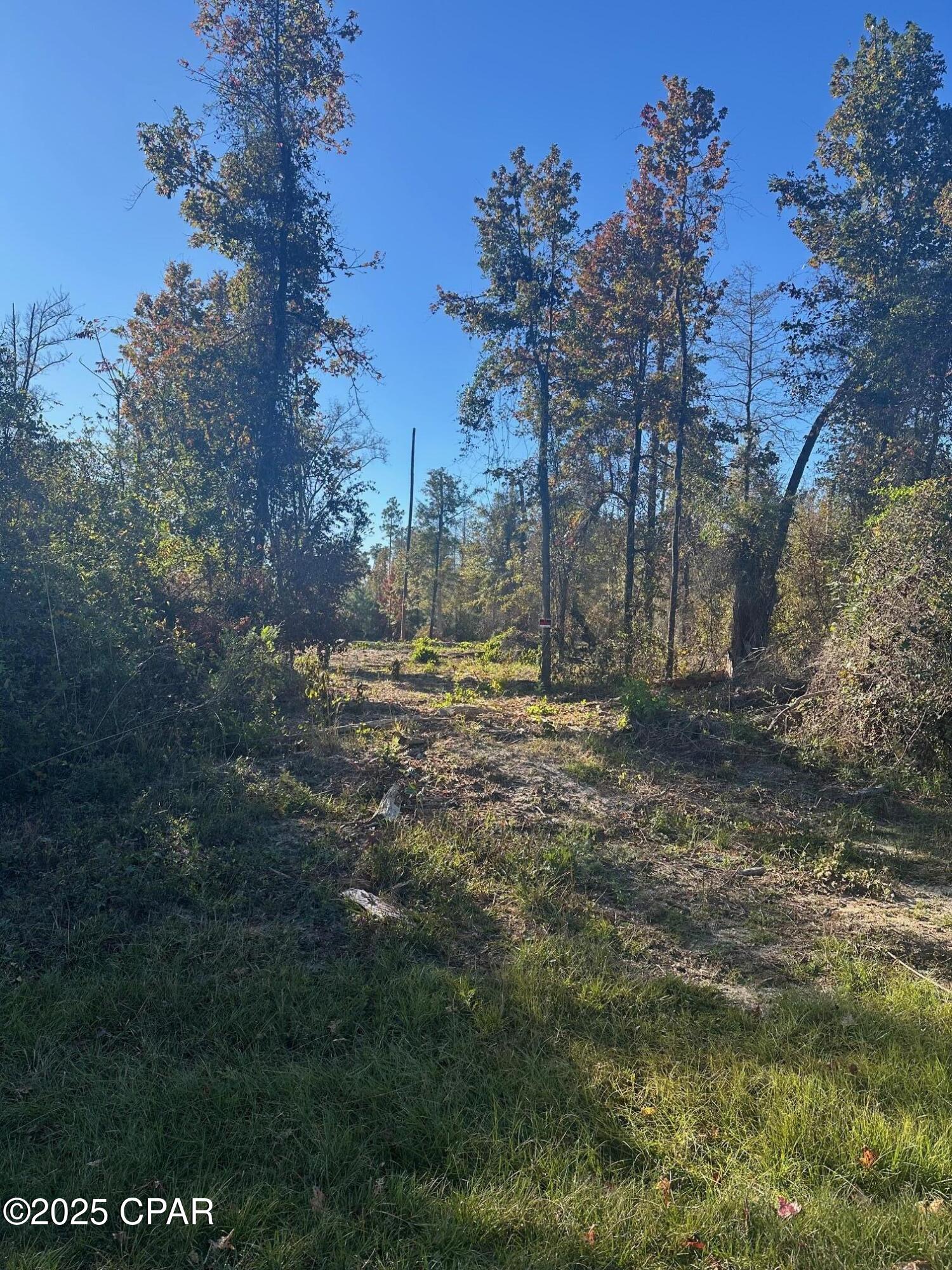 0 Parramore Road Sneads, FL 32460 - Photo 15 of 25