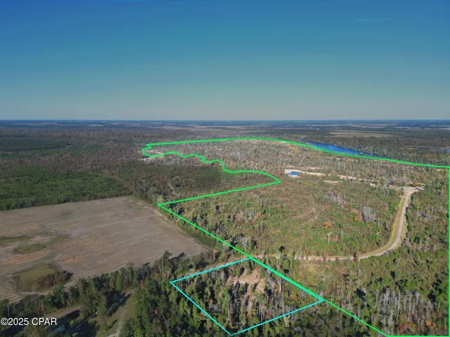 $47,000 | 0 Parramore Road, Sneads, FL 32460