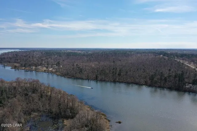 $47,000 | 0 Parramore Road, Sneads, FL 32460