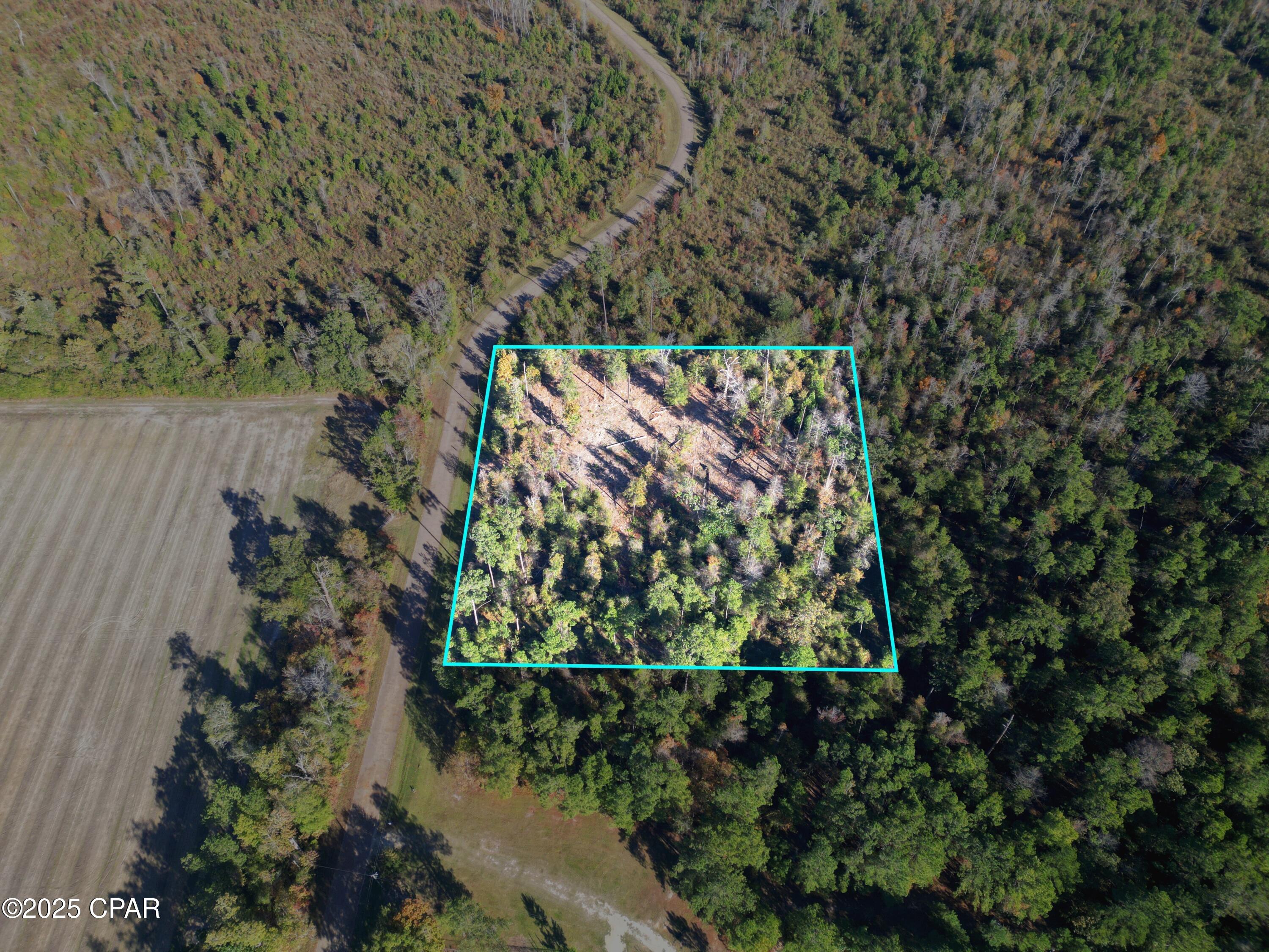 0 Parramore Road Sneads, FL 32460 - Photo 5 of 25