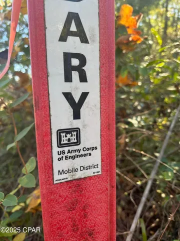 $47,000 | 0 Parramore Road, Sneads, FL 32460