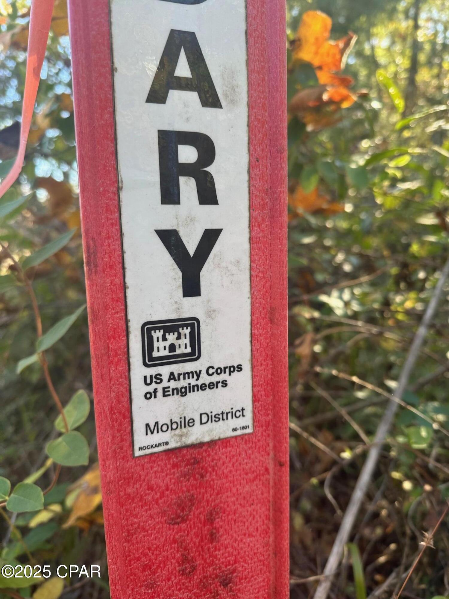 0 Parramore Road Sneads, FL 32460 - Photo 7 of 25