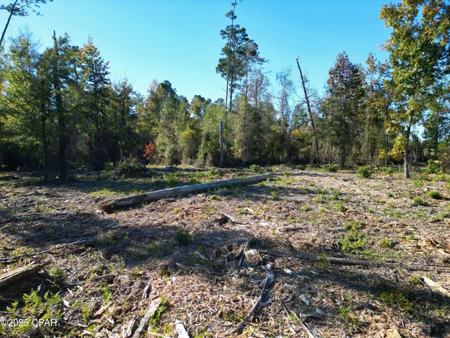 $47,000 | 0 Parramore Road, Sneads, FL 32460