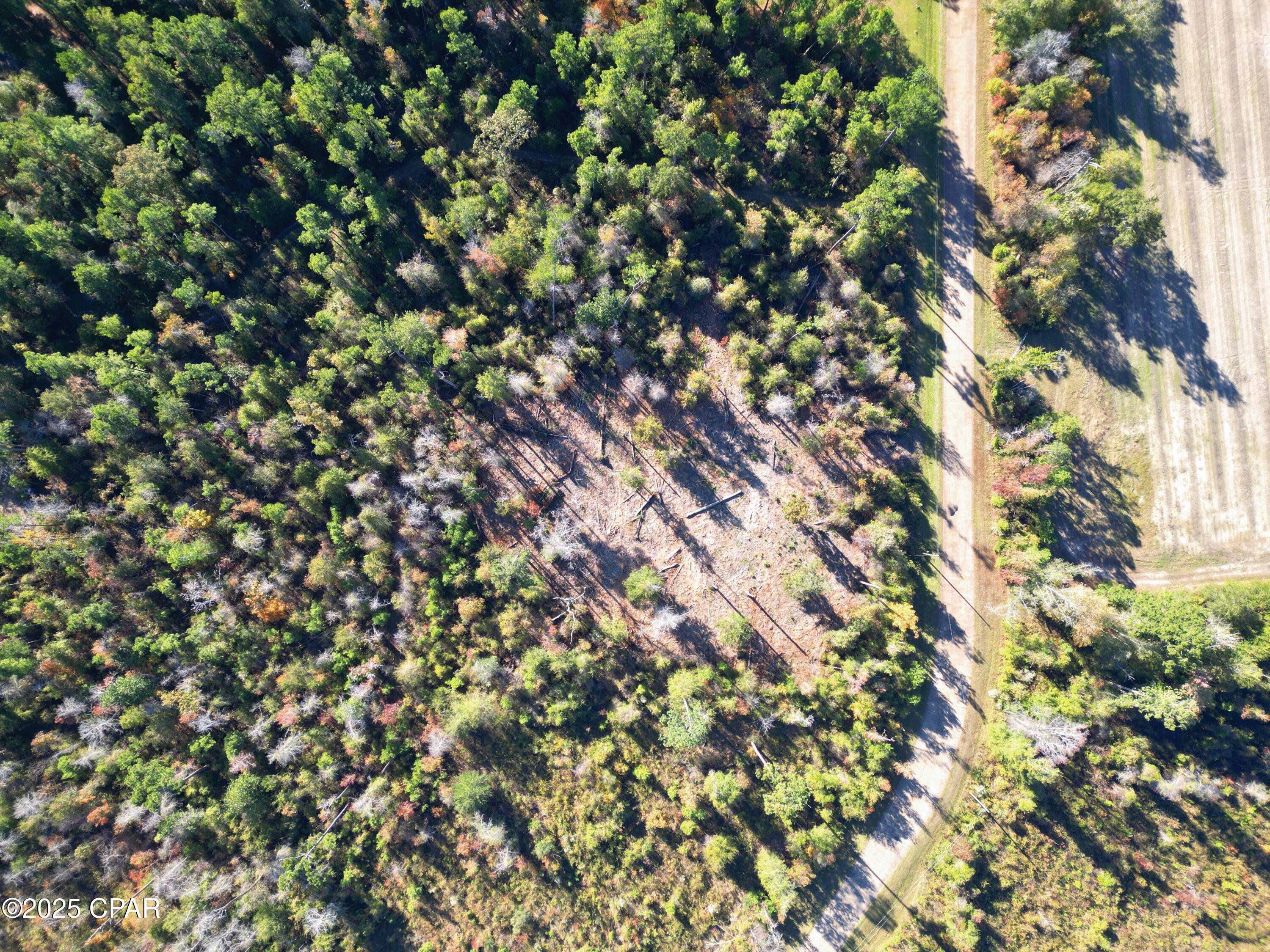 0 Parramore Road Sneads, FL 32460 - Photo 9 of 25