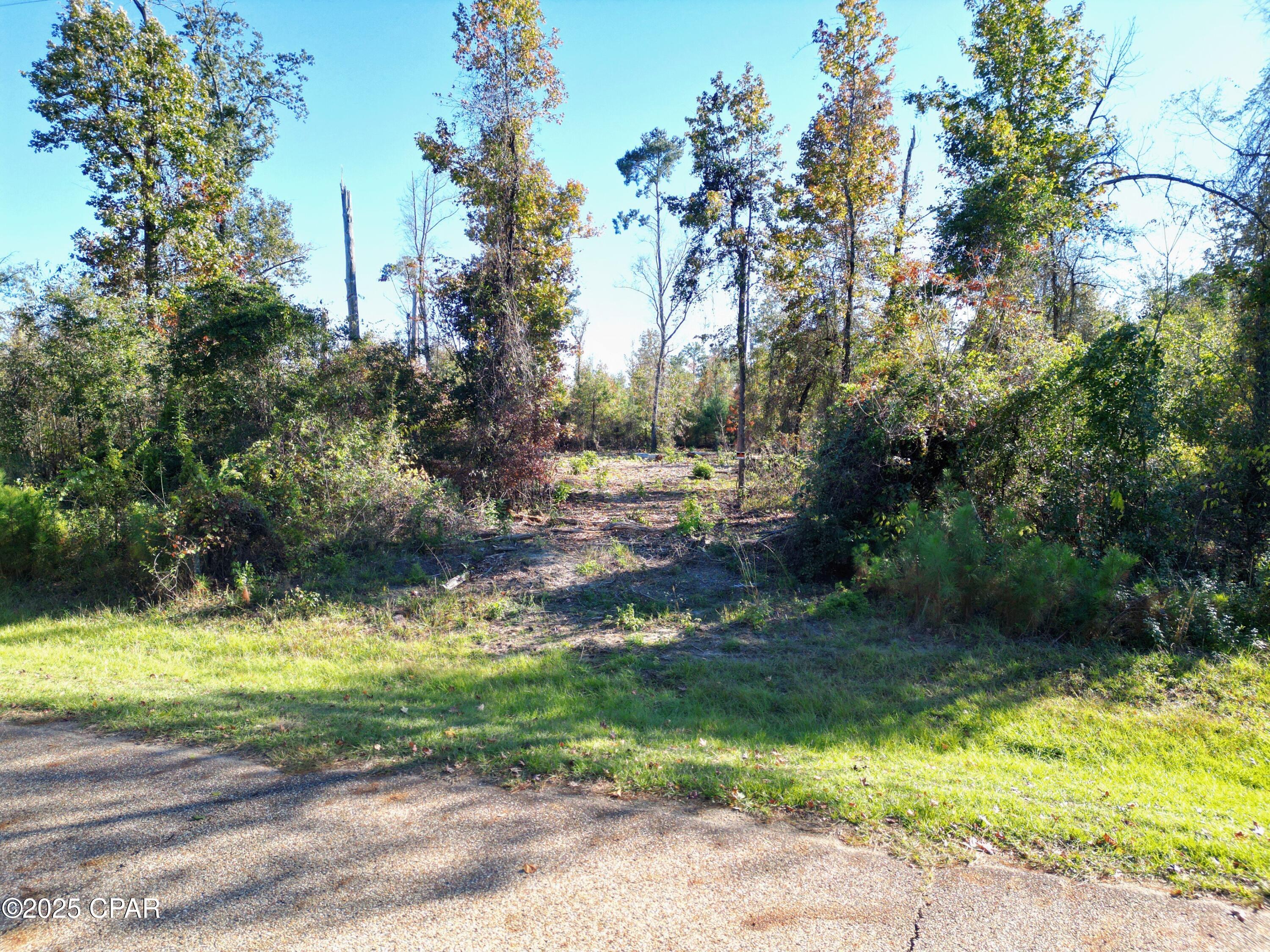 0 Parramore Road Sneads, FL 32460 - Photo 10 of 25