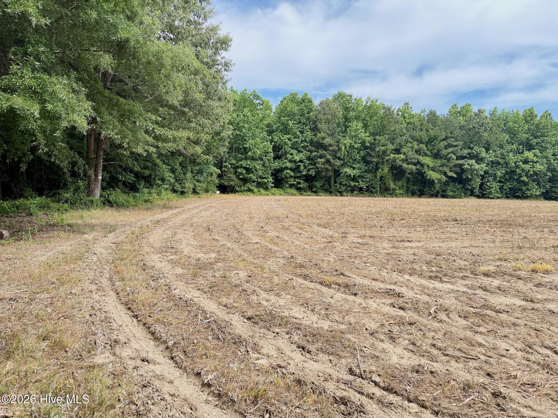 0 Off 1040d Republican Road Windsor, NC 27983 - Photo 5 of 27 Bertie 3.81 - 24