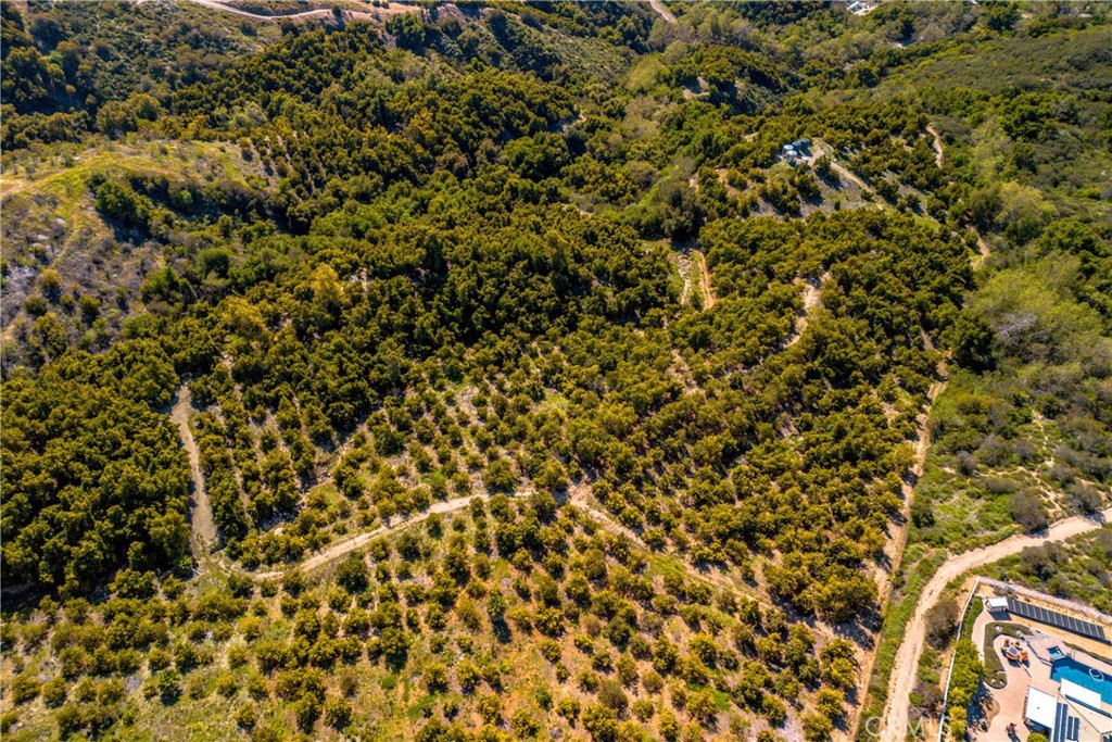 22103 Carancho Road Temecula, CA 92590 - Photo 24 of 27 a view of a yard