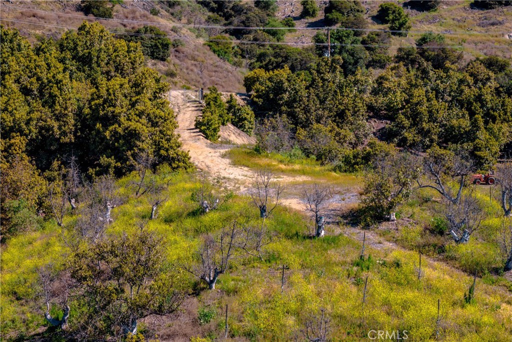 22103 Carancho Road Temecula, CA 92590 - Photo 10 of 27 a view of a yard