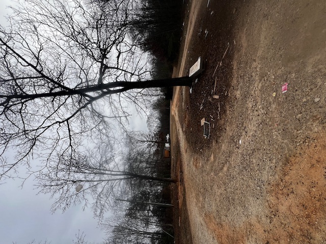 141 Windy Hill Lane Seneca, SC 29678 - Photo 2 of 3 A vast, open lot with mature trees offers endless possibilities for development.