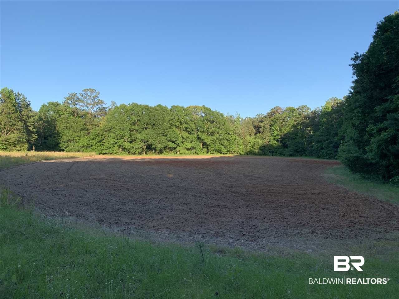 1478 Ridge Road Greenville, AL 36037 - Photo 33 of 50