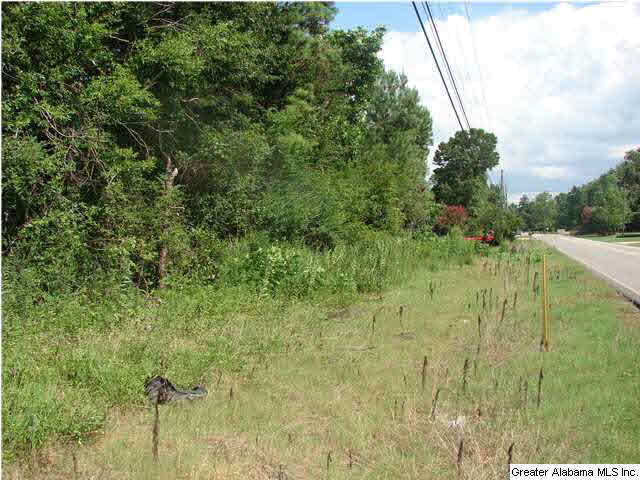 9147 Lock 17 Road Adger, AL 35006 - Photo 3 of 3