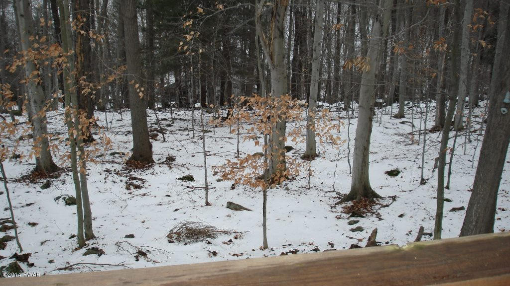 3281 Northgate Road Lake Ariel, PA 18436 - Photo 32 of 49
