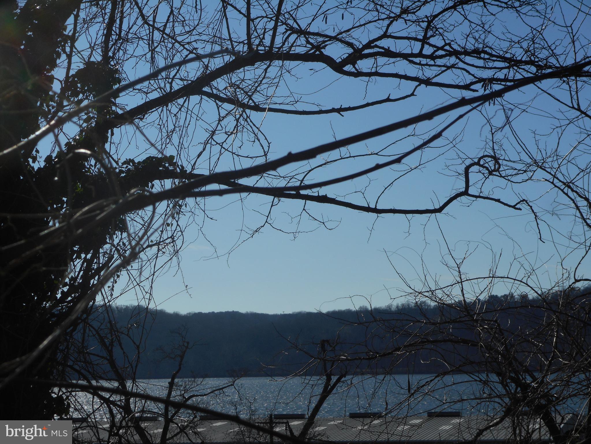 21 High Street Port Deposit, MD 21904 - Photo 2 of 2 a view of a backyard