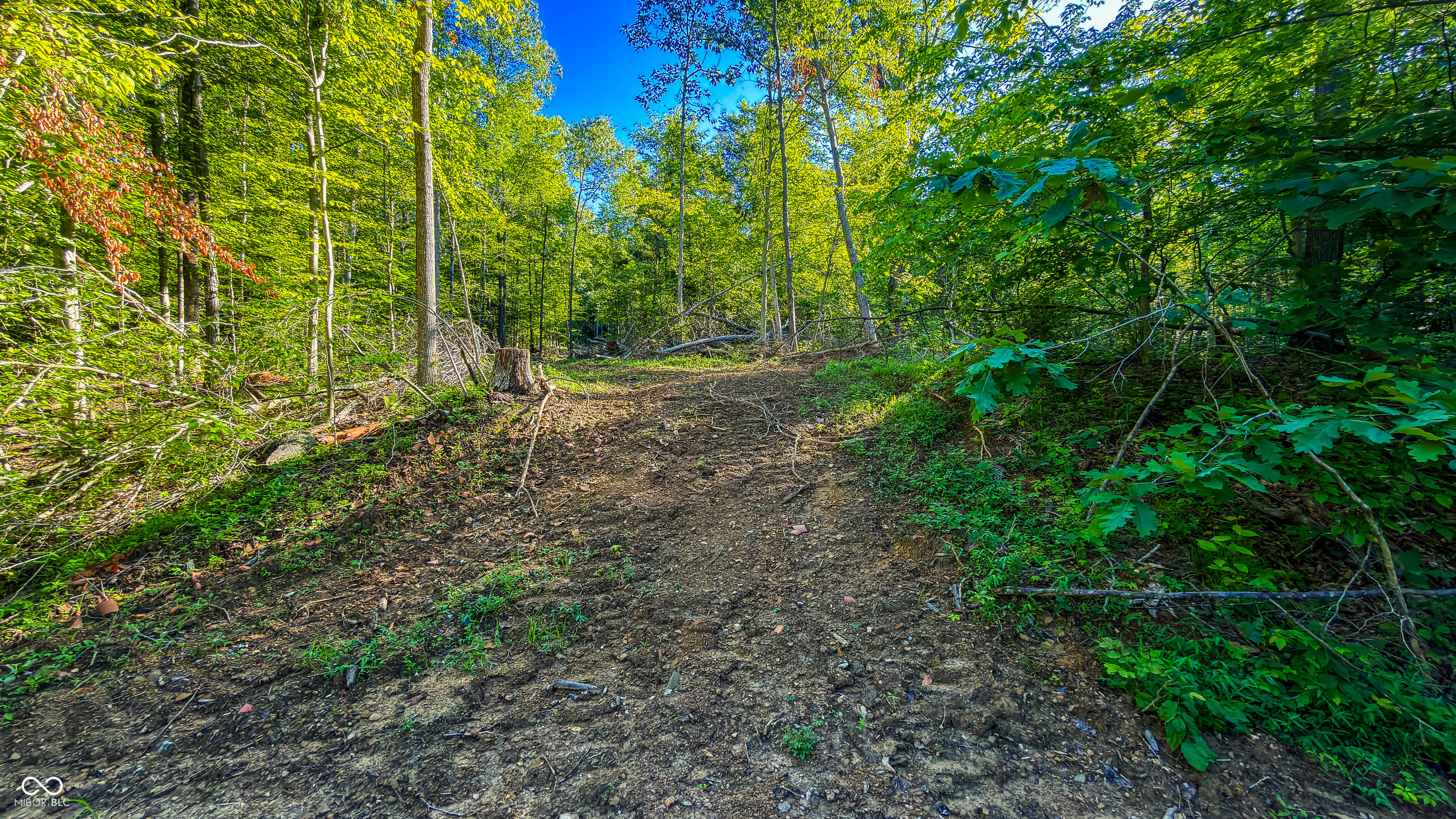 1 Beech Tree Road Nineveh, IN 46164 - Photo 9 of 29