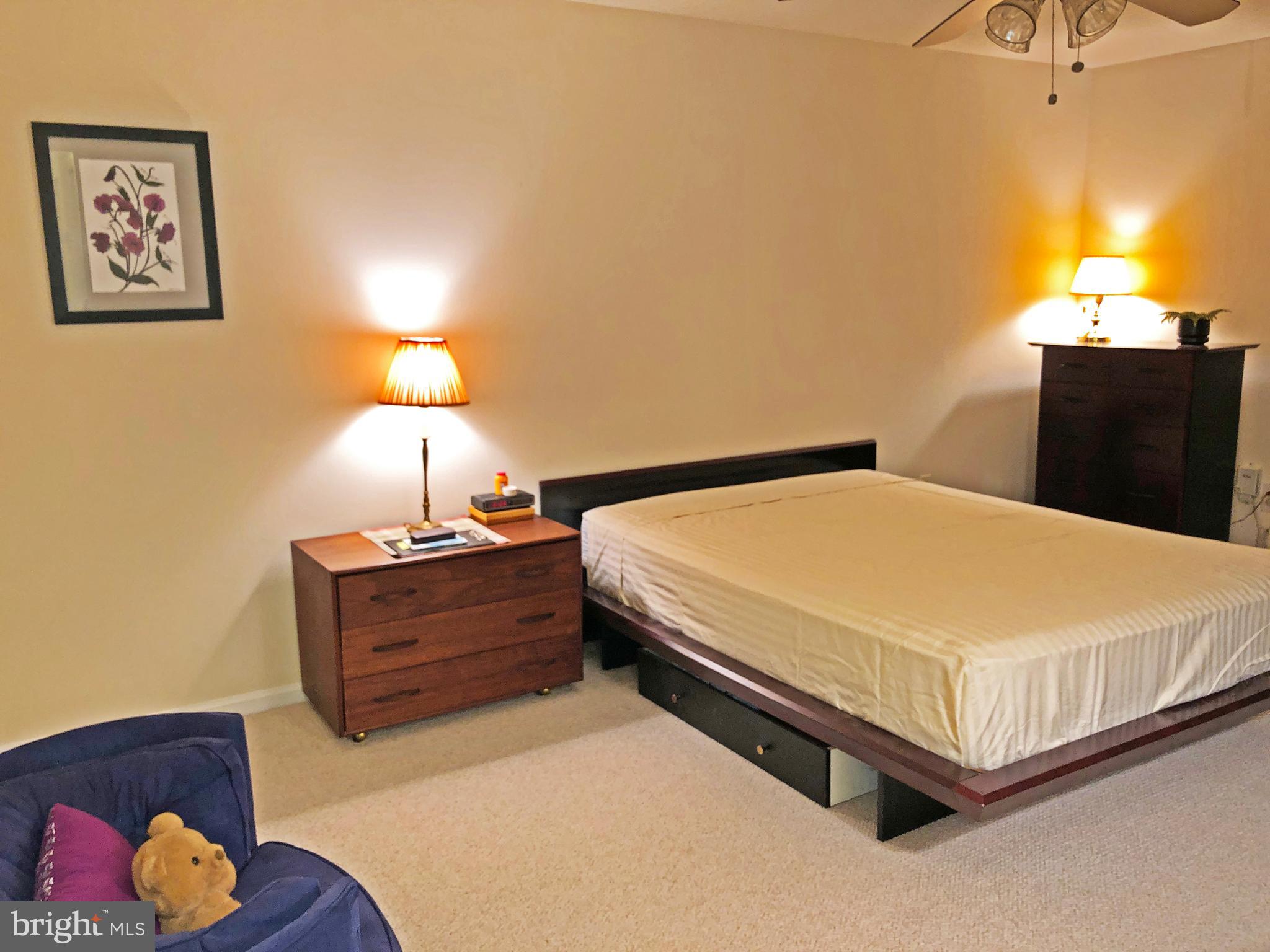 1575 Church Hill Place, Unit 1575 Reston, VA 20194 - Photo 13 of 31 Spavious Owner's Bedroom - view #2