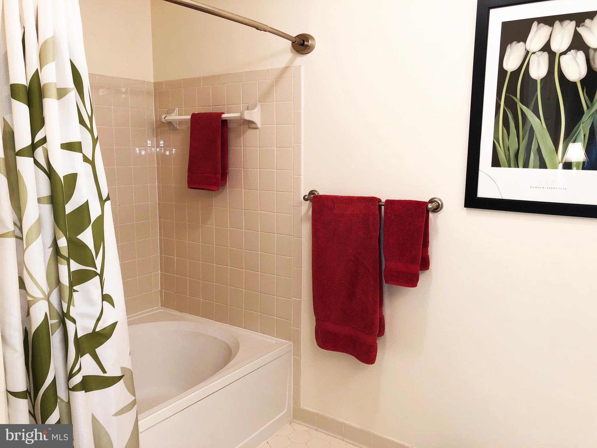 1575 Church Hill Place, Unit 1575 Reston, VA 20194 - Photo 15 of 31 Large Owners Bath w/soaking tub/s, ceramic tile
