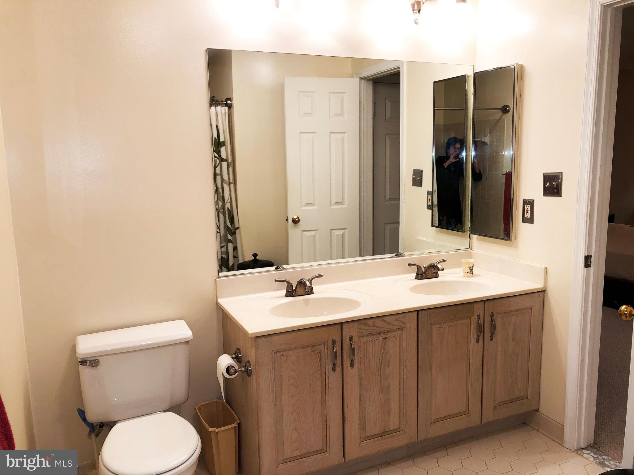 1575 Church Hill Place, Unit 1575 Reston, VA 20194 - Photo 16 of 31 Owner's Bath - double sinks and vanities