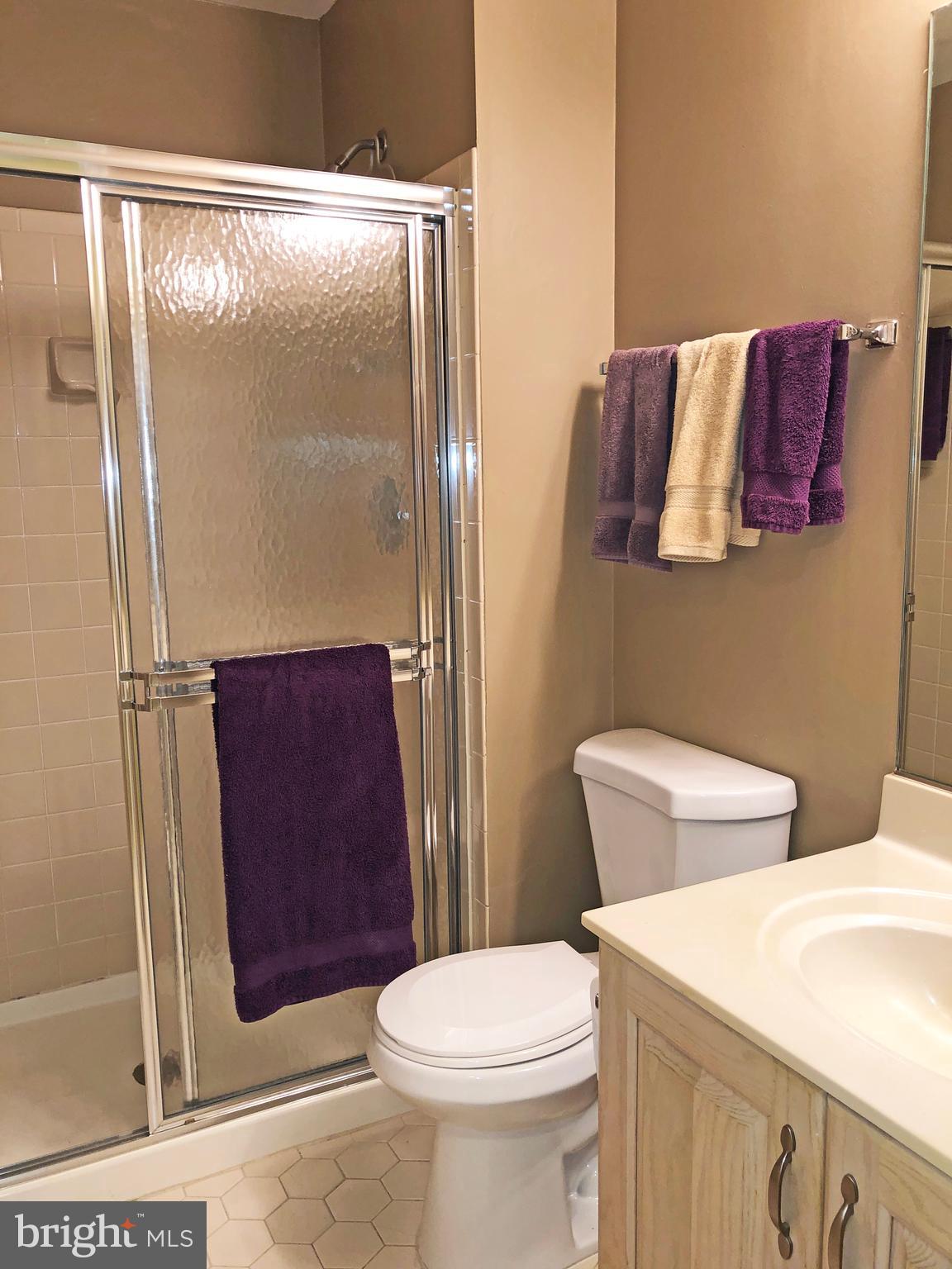 1575 Church Hill Place, Unit 1575 Reston, VA 20194 - Photo 18 of 31 Full Bath #2 has large linen closet