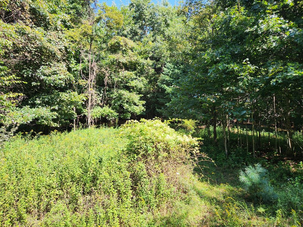 0 Piney Post Office Road, Unit 1797 Sparta, NC 28675 - Photo 4 of 9 Gallery Image 4