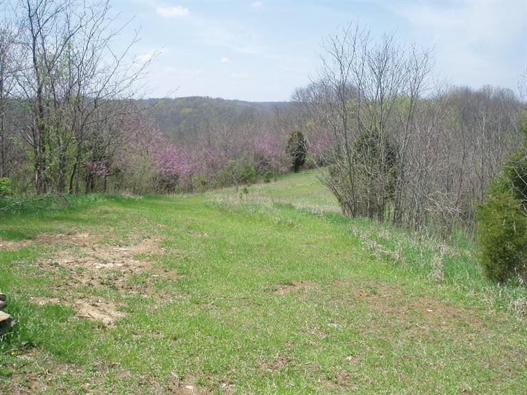 4100 Lenoxburg Foster Road Foster, KY 41043 - Photo 5 of 13 Gallery Image 5