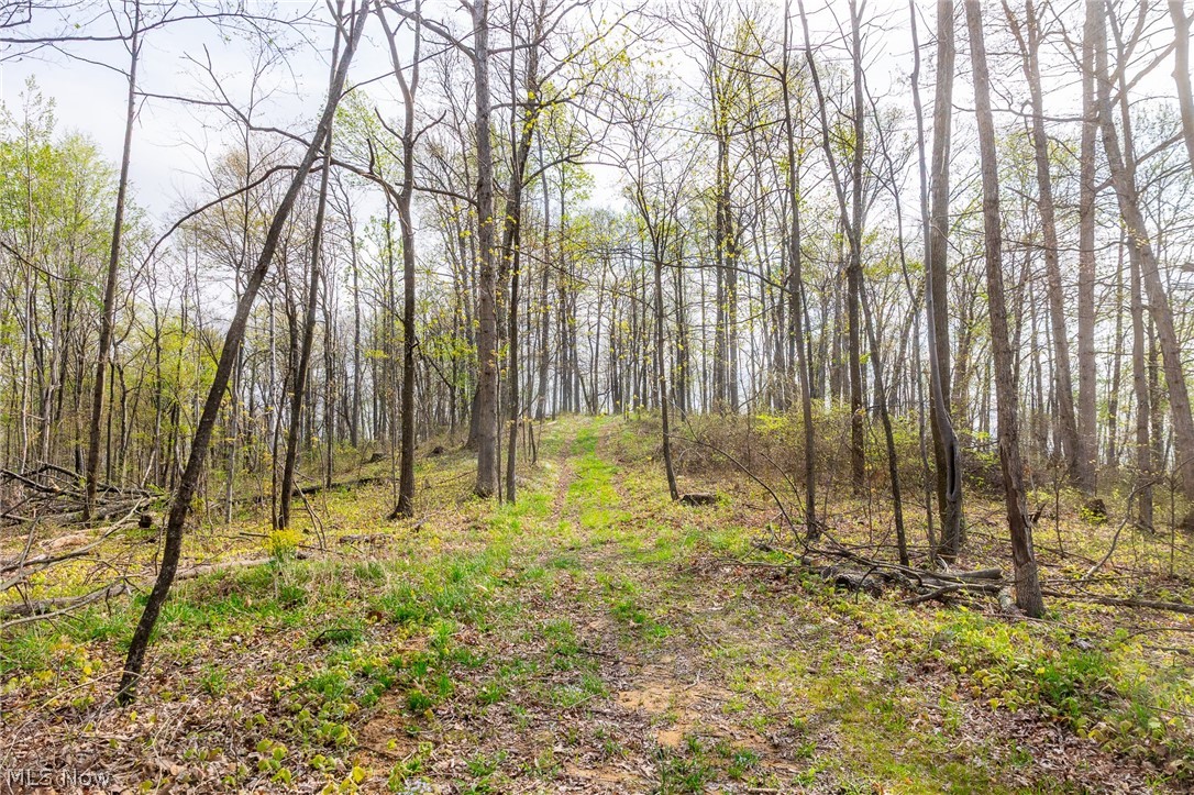 2115 Goss Fork Road, Unit 1 Whipple, OH 45788 - Photo 22 of 38
