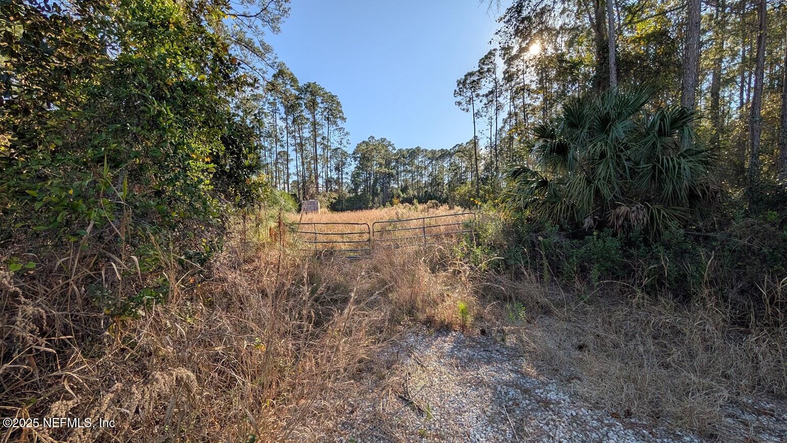 a view of a yard with trees