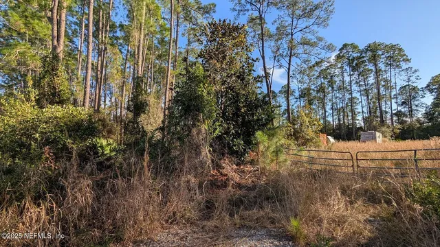 a view of outdoor space and trees
