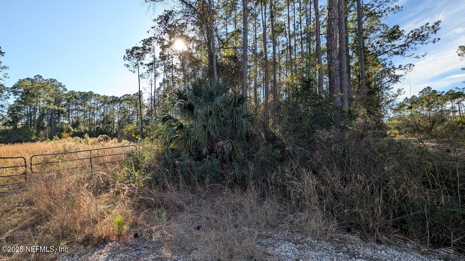 113 White Pine Georgetown, FL 32139 - Photo 4 of 11 4 Right side of property