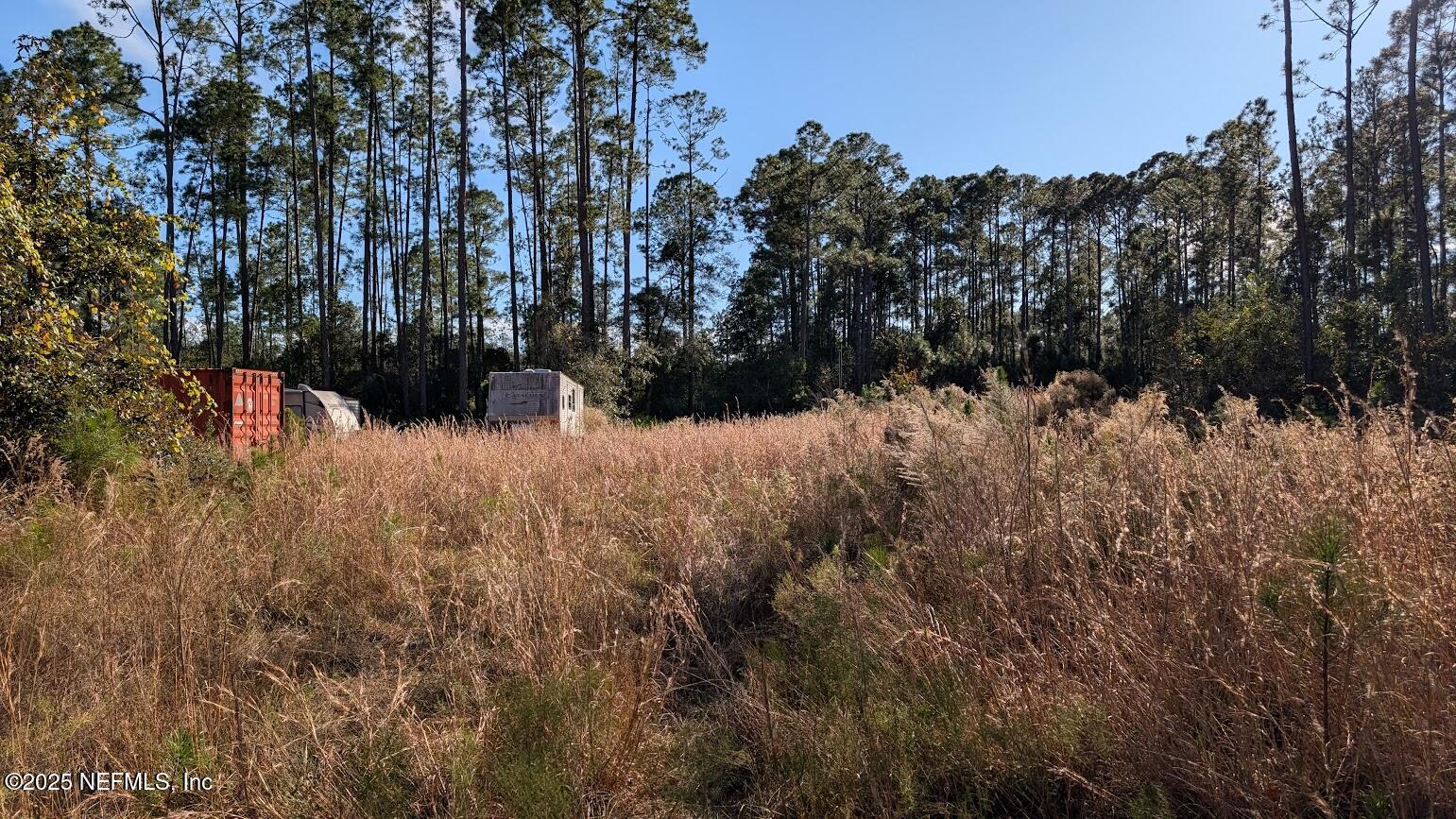 113 White Pine Georgetown, FL 32139 - Photo 5 of 11 5 Container