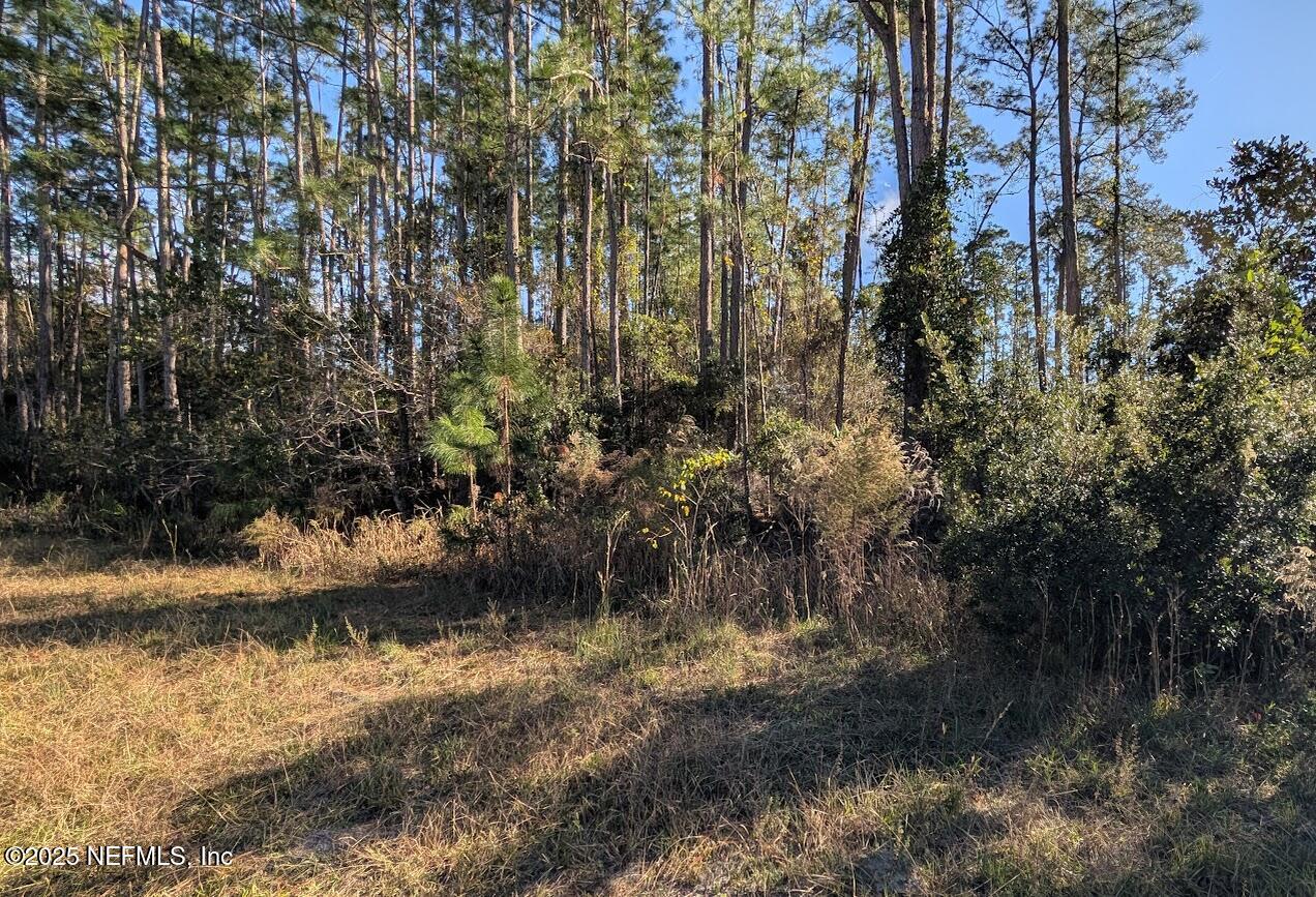 113 White Pine Georgetown, FL 32139 - Photo 6 of 11 6 Wood area