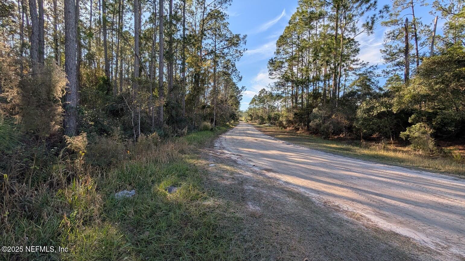 113 White Pine Georgetown, FL 32139 - Photo 8 of 11 8 White Pine Ln
