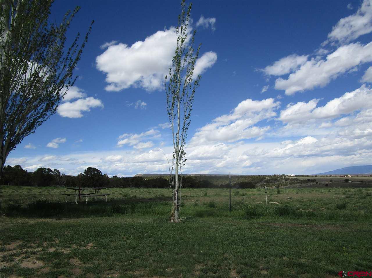 33732 B25 Road Crawford, CO 81415 - Photo 32 of 35 Gallery Image 32