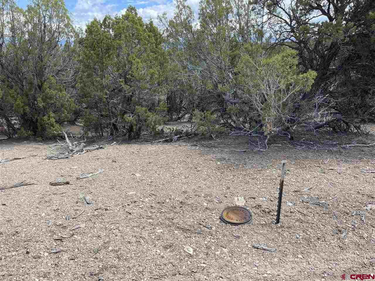 33732 B25 Road Crawford, CO 81415 - Photo 33 of 35 Gallery Image 33