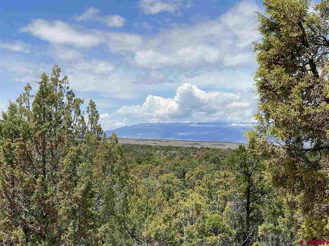 33732 B25 Road Crawford, CO 81415 - Photo 34 of 35 Gallery Image 34