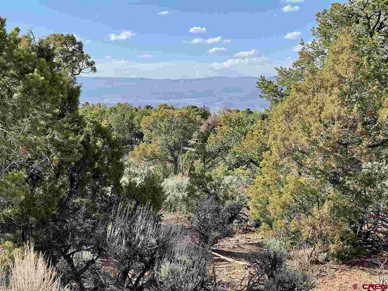 33732 B25 Road Crawford, CO 81415 - Photo 9 of 35 Gallery Image 9