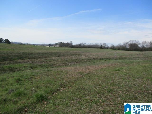 160 Highway Parcel Al, Unit 1 Cleveland, AL 35049 - Photo 10 of 10